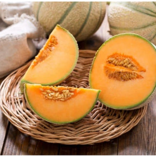 Summer Melon