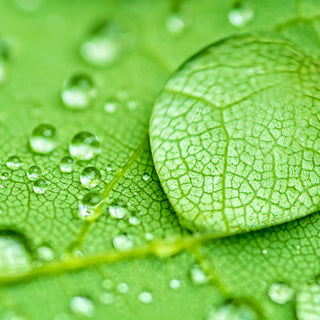 FEELING RAIN - Bottega delle creazioni