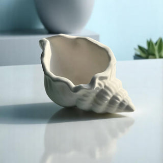 Stampo in silicone  Conchiglia