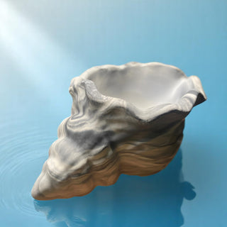 Stampo in silicone  Conchiglia