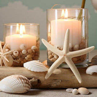 Conchiglie decorative - Bottega delle creazioni