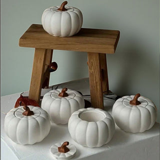 Stampo in silicone Zucca con coperchio