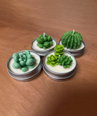 Silicone Mold Succulent Plants/Cactus Set 9 pcs